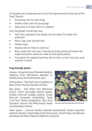 Habitat Gardening         25

A frog pond can incorporate one or all of the requirements for each part of the
frogs’ lifecycle:
•     Damp bog zone for adult frogs.
•     Shallow water zone for laying eggs.
•     Deep zone of at least 30cm for tadpoles.
Your frog garden should also have:
•     Soft, thick vegetation that droops into the water, for shelter and
      protection.
•     Rocks, logs, bark and leaf litter.
•     Mostly shade.
•     Sloping sides for frogs to crawl out.
•     Been made from non-toxic materials (concrete ponds will need to be
      sealed and plastic ponds be made of food-grade plastic).
•     Food plants for tadpoles (and they will eat them, so don’t put your prize
      waterlily in there).


Frog-friendly plants:
Grasses – Kangaroo Grass (Themeda triandra),
Weeping Grass (Microleana stipoides) or
Wallaby Grass (Austrodanthonia spp.).
Tufting plants – Pale Rush (Juncus pallidus) or
Black-anther Flax-lily (Dianella revoluta).
Bog plants – Soft Water Fern (Blechnum
minus), Thatch Saw-sedge (Gahnia radula),
Knobby Club-rush (Isolepis nodosa), Grassy
Mat-rush (Lomandra confertifolia), Tassel
Cord Rush (Restio tetraphyllus), Blue Devil
(Eryngium ovinum) and Milky-beauty Heads          Common Nardoo (Marsilea drummondii).

(Leucocephalus lacteus).
Water plants – Common Nardoo (Marsilea drummondii), Purple Loosestrife
(Lythrum salicaria), Tassel Sedge (Carex fascicularis), Jointed Twig-rush (Baumea
articulata) and Water Ribbons (Triglochin procerum).
 