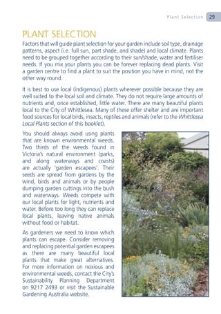 Plant Selection     29


PLANT SELECTION
Factors that will guide plant selection for your garden include soil type, drainage
patterns, aspect (i.e. full sun, part shade, and shade) and local climate. Plants
need to be grouped together according to their sun/shade, water and fertiliser
needs. If you mix your plants you can be forever replacing dead plants. Visit
a garden centre to find a plant to suit the position you have in mind, not the
other way round.
It is best to use local (indigenous) plants wherever possible because they are
well suited to the local soil and climate. They do not require large amounts of
nutrients and, once established, little water. There are many beautiful plants
local to the City of Whittlesea. Many of these offer shelter and are important
food sources for local birds, insects, reptiles and animals (refer to the Whittlesea
Local Plants section of this booklet).
You should always avoid using plants
that are known environmental weeds.
Two thirds of the weeds found in
Victoria’s natural environment (parks,
and along waterways and coasts)
are actually ‘garden escapees’. Their
seeds are spread from gardens by the
wind, birds and animals or by people
dumping garden cuttings into the bush
and waterways. Weeds compete with
our local plants for light, nutrients and
water. Before too long they can replace
local plants, leaving native animals
without food or habitat.
As gardeners we need to know which
plants can escape. Consider removing
and replacing potential garden escapees
as there are many beautiful local
plants that make great alternatives.
For more information on noxious and
environmental weeds, contact the City’s
Sustainability Planning Department
on 9217 2493 or visit the Sustainable
Gardening Australia website.
 