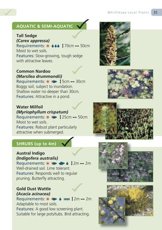 Whittlesea Local Plants   35
 