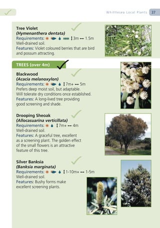 Whittlesea Local Plants   37
 