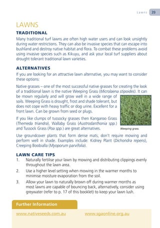 Lawns   39


LAWNS
TRADITIONAL
Many traditional turf lawns are often high water users and can look unsightly
during water restrictions. They can also be invasive species that can escape into
bushland and destroy native habitat and flora. To combat these problems avoid
using invasive species such as Kikuyu, and ask your local turf suppliers about
drought tolerant traditional lawn varieties.

ALTERNATIVES
If you are looking for an attractive lawn alternative, you may want to consider
these options:
Native grasses – one of the most successful native grasses for creating the look
of a traditional lawn is the native Weeping Grass (Microlaena stipoides). It can
be mown regularly and will grow well in a wide range of
soils. Weeping Grass is drought, frost and shade tolerant, but
does not cope with heavy traffic or dog urine. Excellent for a
front lawn. Can be grown from seed or plugs.
If you like clumps of tussocky grasses then Kangaroo Grass
(Themeda triandra), Wallaby Grass (Austrodanthonia spp.)
and Tussock Grass (Poa spp.) are great alternatives.            Weeping grass.

Use groundcover plants that form dense mats, don’t require mowing and
perform well in shade. Examples include: Kidney Plant (Dichondra repens),
Creeping Boobialla (Myoporum parvifolia).

LAWN CARE TIPS
1. Naturally fertilise your lawn by mowing and distributing clippings evenly
   throughout the lawn area.
2. Use a higher level setting when mowing in the warmer months to
   minimise moisture evaporation from the soil.
3. Allow your lawn to naturally brown off during warmer months as
   most lawns are capable of bouncing back, alternatively, consider using
   greywater (refer to p. 17 of this booklet) to keep your lawn lush.

Further Information

www.nativeseeds.com.au                    www.sgaonline.org.au
 