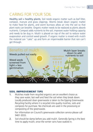 C a r i n g F o r Yo u r S o i l   3


CARING FOR YOUR SOIL
Healthy soil = healthy plants. Soil needs organic matter such as leaf litter,
compost, manure and grass clippings. Worms break down organic matter
to make food for plants, and worm burrows allow air into the soil so that
plant roots can breathe. Organic matter needs to be replaced as plants absorb
nutrients. Compost adds nutrients to the soil, improves water holding capacity
and needs to be dug in. Mulch is placed on top of the soil to reduce water
evaporation and control weed growth. If organic matter is mixed with mulch
the material can “cake” up and form an impermeable barrier that rain can’t
get through.


Benefits of mulch                                   Mulch layer breaks
                                                      down to add
Weeds pulled out easily                              nutrients to soil
                                         evaporation
Weed seeds                                 reduced
screened from
light = less
germination




SOIL IMPROVEMENT TIPS
1.  Mulches made from recycled organics are an excellent choice as
    they save water, last well and feed the soil when they break down.
    Locally produced clean greenwaste is taken to the Epping Greenwaste
    Recycling Facility where it is recycled into quality mulches, soils and
    composts for purchase. No chemicals are used in the processing or
    composting of the greenwaste.
    For information on Council’s greenwaste collection service please call
    9401 0555.
2.  Soil should be damp before you add mulch. Generally Spring is the best
    time to apply mulch, once the winter rains have soaked in.
 