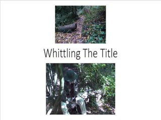 Whittling the title