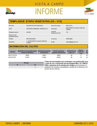 TEMPLADOS: ETAPA VEGETATIVA (V2 – V12)
RTV/AA: OSCAR DE GOYCOECHEA Fecha de visita: 20/01/2014
CDS: ACEITERA GENERAL DEHEZA S A Productor:
WHITWORTH HULSE CARLOS
TOMAS
Establecimiento: HULSE
Lote del
Establecimiento:
115
Dirección del
Establecimiento:
Partido: RIO SEGUNDO Provincia: CORDOBA
Contacto:
V. WHITWORTH HULSE CARLOS
TOMAS
Email: votaiza@agd.com.ar
INFORMACIÓN DEL CULTIVO
Híbrido
Densidad recomendada según
ambiente (Dekalb®)
Densidad sembrada
(semillas/ha)
Stand de plantas
logradas (plantas/ha)
Coeficiente de
Logro (%)
Desvío
Estándar
(cm)
CV
(%)
DK72-10VT3P 78000 78000 76883 98 6 25
DK747VT3P 61000 61000 60252 98 10 32
Refugio
Si No
X
Todas las tecnologías que contengan una proteína BT (una
o más de una, incluyendo las tecnologías MG y VT TRIPLE
para mantener laPRO), requieren de la siembra de refugio
población de insectos susceptibles y preservar la eficacia en el
control de los mismos.
 