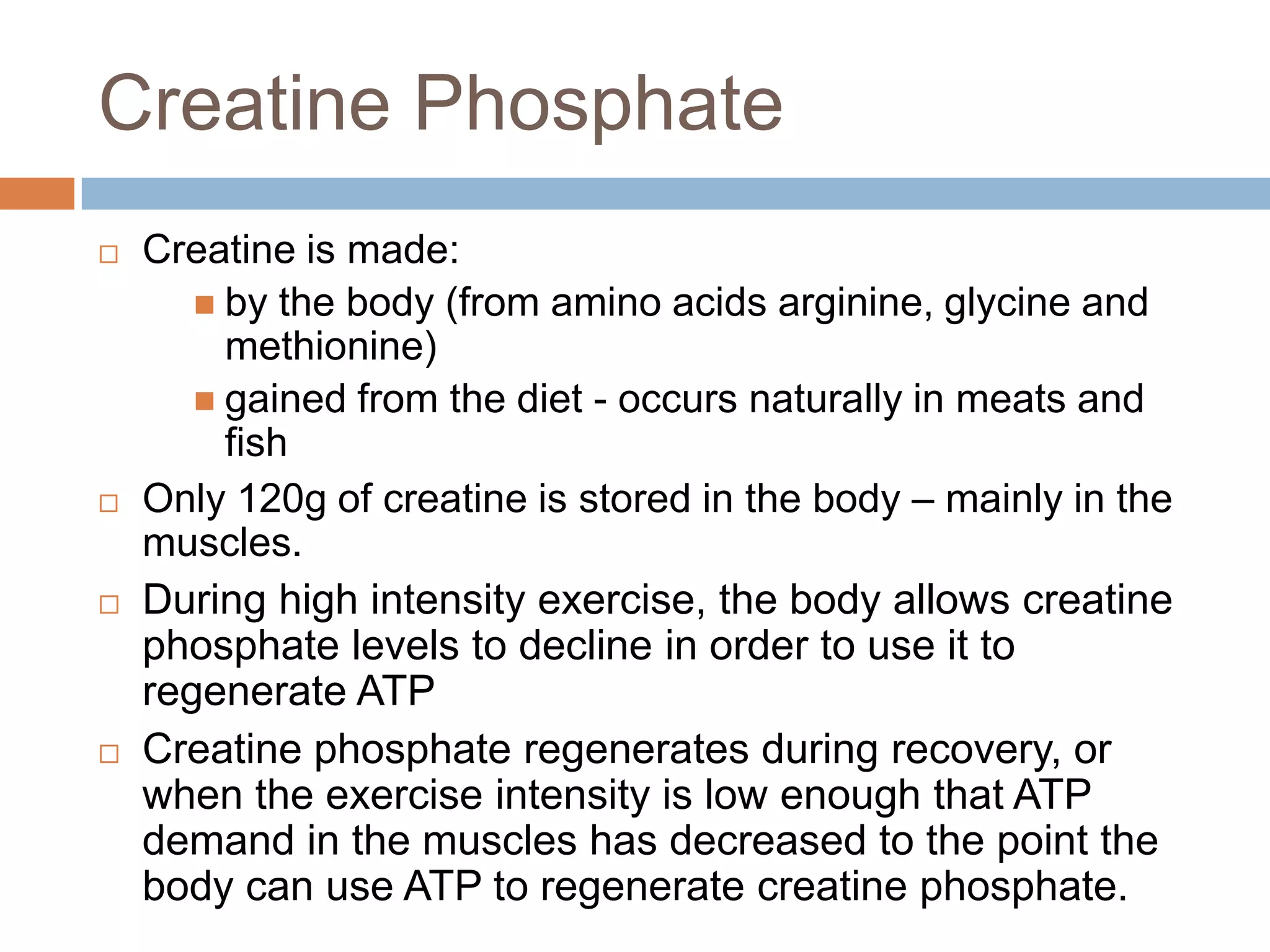 Creatine Phosphate
   Creatine is made:
        by the body (from amino acids arginine, glycine and
         methionine)
        gained from the diet - occurs naturally in meats and
         fish
   Only 120g of creatine is stored in the body – mainly in the
    muscles.
   During high intensity exercise, the body allows creatine
    phosphate levels to decline in order to use it to
    regenerate ATP
   Creatine phosphate regenerates during recovery, or
    when the exercise intensity is low enough that ATP
    demand in the muscles has decreased to the point the
    body can use ATP to regenerate creatine phosphate.
 