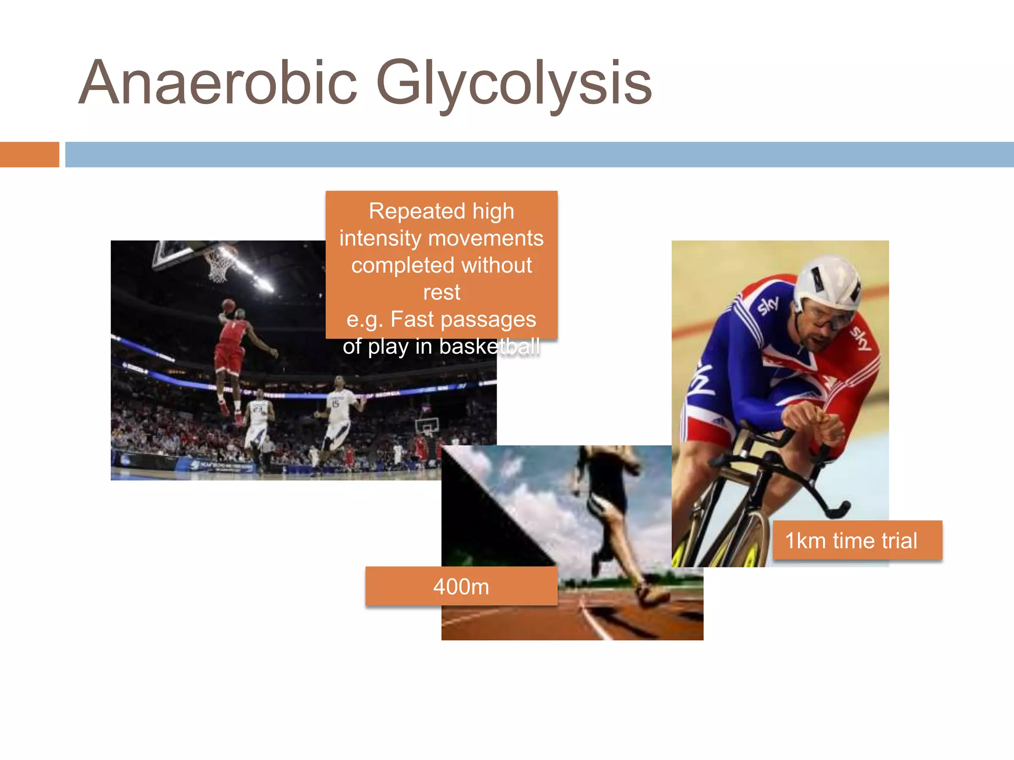 Anaerobic Glycolysis
             Repeated high
         intensity movements
           completed without
                   rest
          e.g. Fast passages
          of play in basketball




                                  1km time trial

                   400m
 
