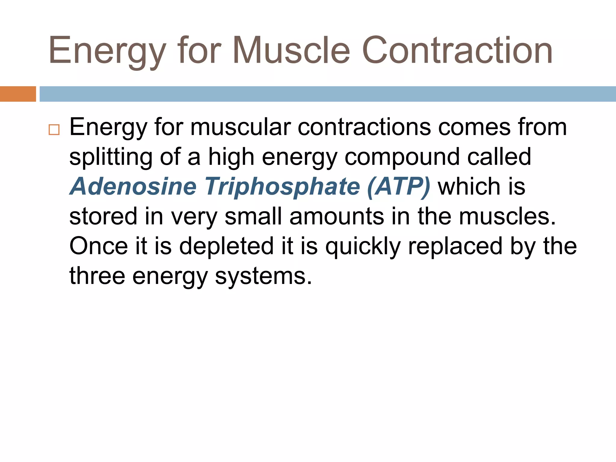 Energy for Muscle Contraction
   Energy for muscular contractions comes from
    splitting of a high energy compound called
    Adenosine Triphosphate (ATP) which is
    stored in very small amounts in the muscles.
    Once it is depleted it is quickly replaced by the
    three energy systems.
 