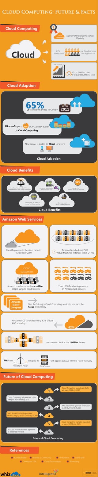 Cloud Computing Future And Facts