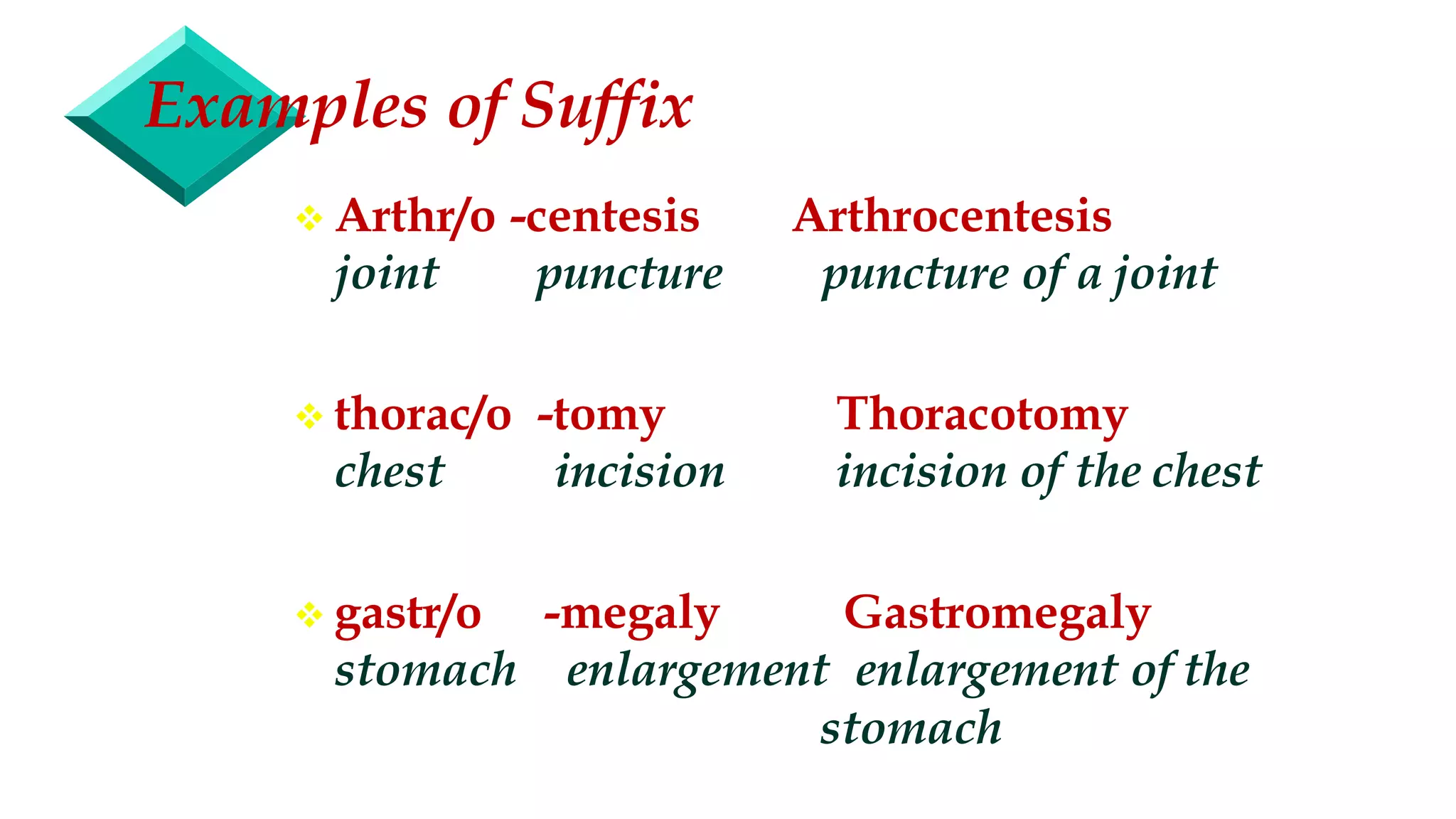 Medical Terminology | PDF