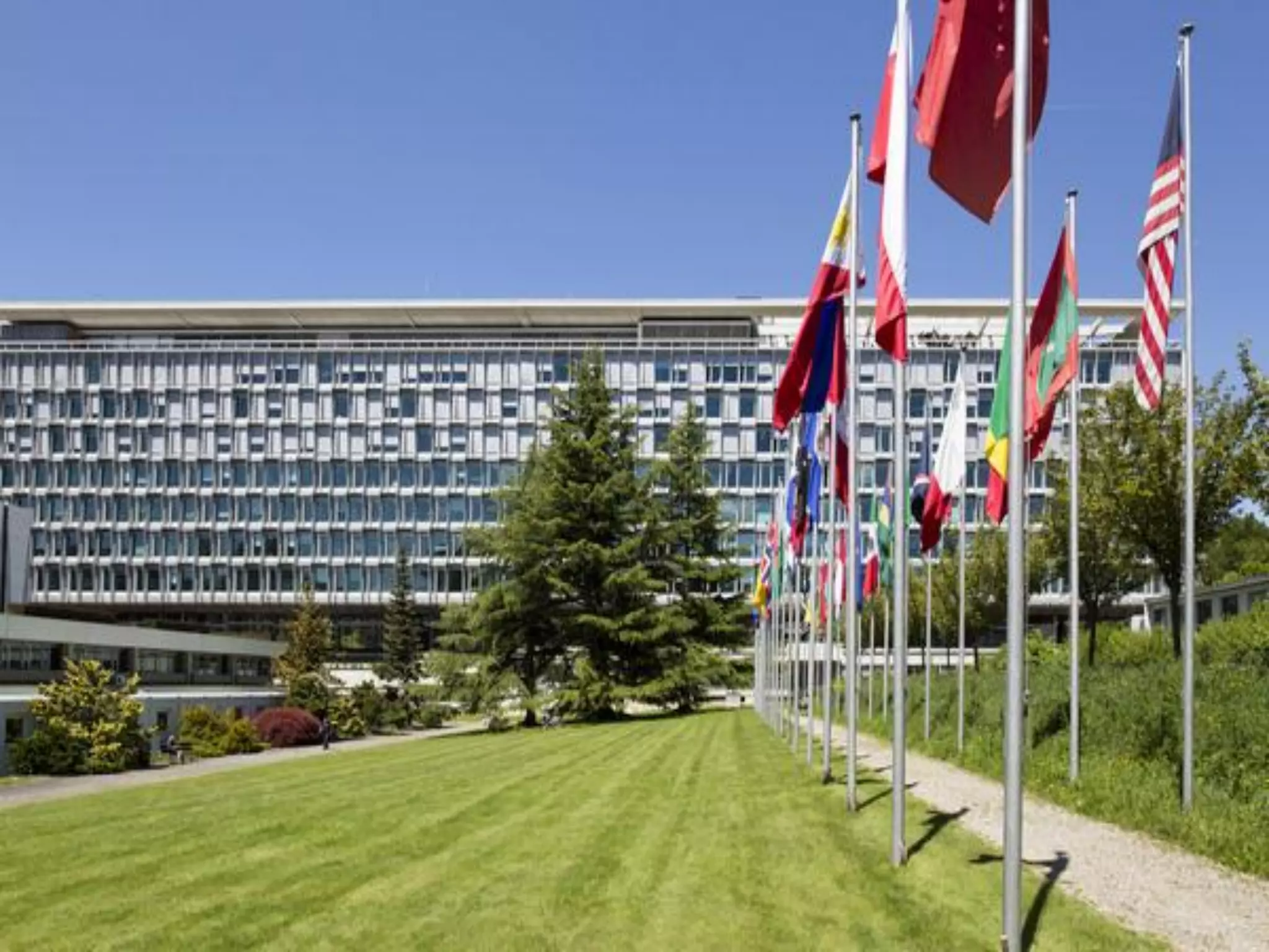 WORLD HEALTH ORGANIZATION ( WHO ) | PPT