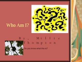 Who Am I?   By, Millie Thompson Do you know what this is? 