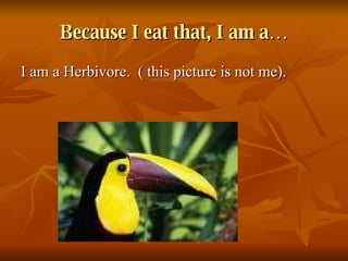 Because I eat that, I am a… I am a Herbivore.  ( this picture is not me). 