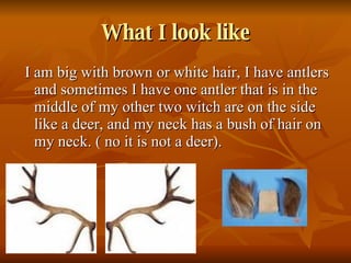 What I look like I am big with brown or white hair, I have antlers and sometimes I have one antler that is in the middle of my other two witch are on the side like a deer, and my neck has a bush of hair on my neck. ( no it is not a deer). 