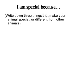 I am special because… (Write down three things that make your animal special, or different from other animals) 