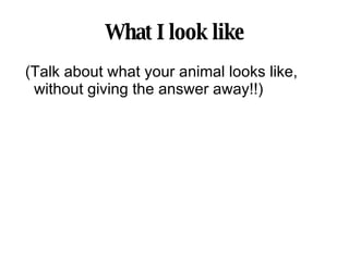 What I look like (Talk about what your animal looks like, without giving the answer away!!) 