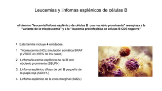 Leucemias y linfomas esplénicos de células B
• Esta familia incluye 4 entidades:
1. Tricoleucemia (HCL) (mutación somática BRAF
p.V600E en ≥95% de los casos)
2. Linfoma/leucemia esplénico de cél.B con
núcleolo prominente (SBLPN)
3. Linfoma esplénico difuso de cél. B pequeña de
la pulpa roja (SDRPL)
4. Linfoma esplénico de la zona marginal (SMZL)
el término "leucemia/linfoma esplénico de células B con nucleólo prominente" reemplaza a la
"variante de la tricoleucemia" y a la "leucemia prolinfocítica de células B CD5 negativa"
 