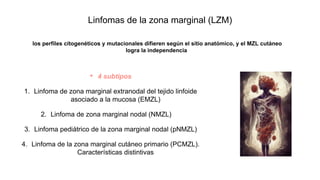 Linfomas de la zona marginal (LZM)
los perfiles citogenéticos y mutacionales difieren según el sitio anatómico, y el MZL cutáneo
logra la independencia
• 4 subtipos
1. Linfoma de zona marginal extranodal del tejido linfoide
asociado a la mucosa (EMZL)
2. Linfoma de zona marginal nodal (NMZL)
3. Linfoma pediátrico de la zona marginal nodal (pNMZL)
4. Linfoma de la zona marginal cutáneo primario (PCMZL).
Características distintivas
 