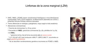 Linfomas de la zona marginal (LZM)
• EMZL, NMZL y PCMZL tienen características histológicas e inmunofenópípicas
superpuestas: CD5 y CD10 negativos, la diferenciación plasmática es común y
presentan folículos linfoides reactivos asociados
• Tienen diferencias en etiología y patogénesis, mayor según el sitio anatómico
• Alteraciones cromosómicas:
- Trisomía de cromosomas 3 y 18 es común
- Frecuentes en NMZL: ganancias cromosomas 2p y 6p, pérdidas de 1p y 6q
- En EMZL:
• * ganancia de 6p y 6q de forma recurrente sólo en anexo ocular
* t (11;18) (q21;q21) que involucran a MALT1: BIRC3::MALT1, recurrentes en
origen gástrico y pulmonar
* No se describen reordenamientos genéticos recurrentes en PCMZL o NMZL
 