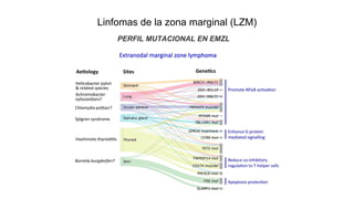 Linfomas de la zona marginal (LZM)
PERFIL MUTACIONAL EN EMZL
 