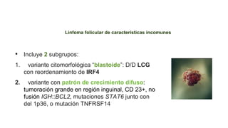 Linfoma folicular (LFc)
• Incluye 2 subgrupos:
1. variante citomorfológica “blastoide”: D/D LCG
con reordenamiento de IRF4
2. variante con patrón de crecimiento difuso:
tumoración grande en región inguinal, CD 23+, no
fusión IGH::BCL2, mutaciones STAT6 junto con
del 1p36, o mutación TNFRSF14
Linfoma folicular de características incomunes
 