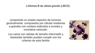 Linfomas B de célula grande (LBCG)
comprende un amplio espectro de tumores,
generalmente compuestos por células medianas
a grandes con núcleos redondos a ovoides y
cromatina vesicular.
Los casos con células de tamaño intermedio y
blastoides también pueden cumplir con los
criterios de esta familia
 
