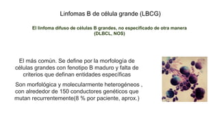 Linfomas B de célula grande (LBCG)
El linfoma difuso de células B grandes, no especificado de otra manera
(DLBCL, NOS)
El más común. Se define por la morfología de
células grandes con fenotipo B maduro y falta de
criterios que definan entidades específicas
Son morfológica y molecularmente heterogéneos ,
con alrededor de 150 conductores genéticos que
mutan recurrentemente(8 % por paciente, aprox.)
 