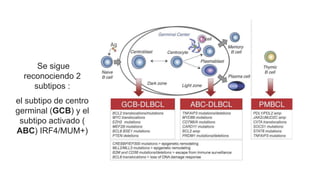 Se sigue
reconociendo 2
subtipos :
el subtipo de centro
germinal (GCB) y el
subtipo activado (
ABC) IRF4/MUM+)
 