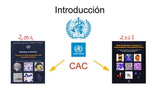 Introducción
CAC
 