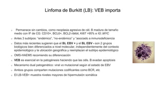 Linfoma de Burkitt (LB): VEB importa
Permanece sin cambios, como neoplasia agresiva de cél. B madura de tamaño
medio con IF de CG: CD10+, BCL6+, BCL2-/débil, KI67 >95% e IG::MYC
Antes 3 subtipos: “endémico”, “no-endémico” y “asociado a inmunodeficiencia
Datos más recientes sugieren que el BL EBV + y el BL EBV - son 2 grupos
biológicos bien diferenciados a nivel molecular, independientemente del contexto
epidemiológico y la ubicación geográfica y reemplazan el subtipo epidemiológico
OMS-HAEM5 recomiendo su diferenciación
VEB es esencial en la patogénesis haciendo que las céls. B evadan apoptosis
Mecanismo dual patogenètico: viral vs mutacional según el estado de EBV
Ambos grupos comparten mutaciones codificantes como BCR, etc
El LB-VEB+ muestra niveles mayores de hipermutaión somática
 