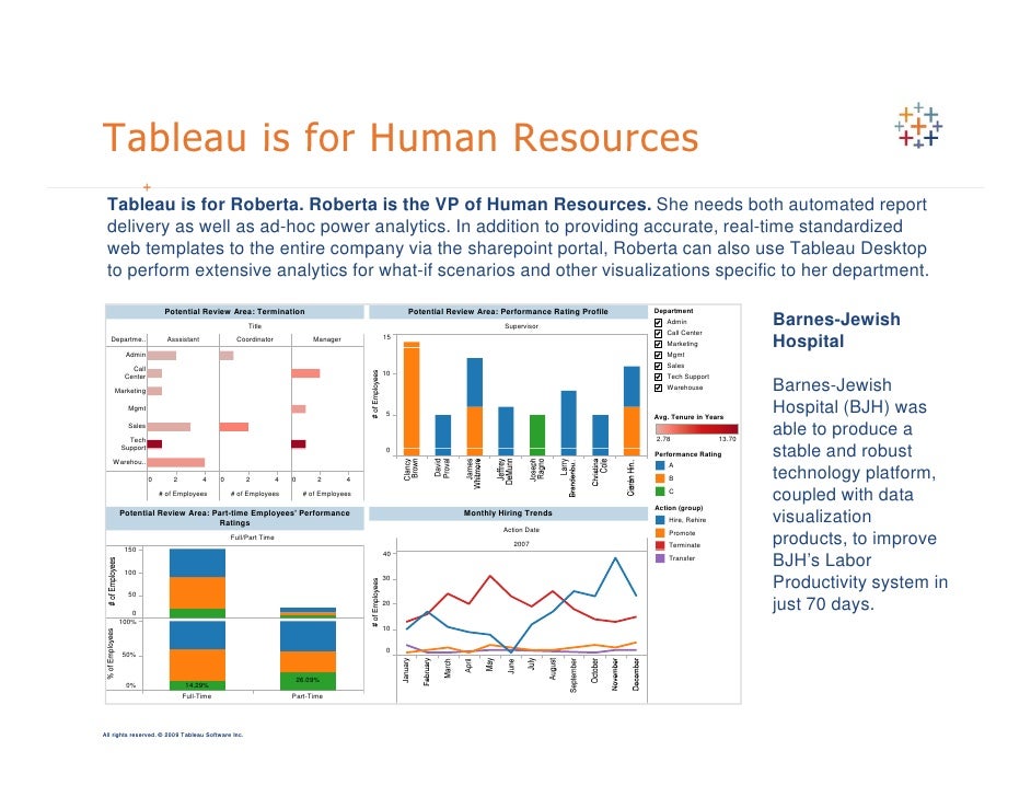 Who Is Tableau Software For