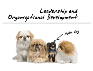 Leadershipand
Organizational Development
alphadog
 