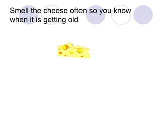 Smell the cheese often so you know when it is getting old 