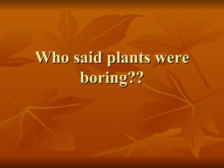 Who said plants were boring?? 