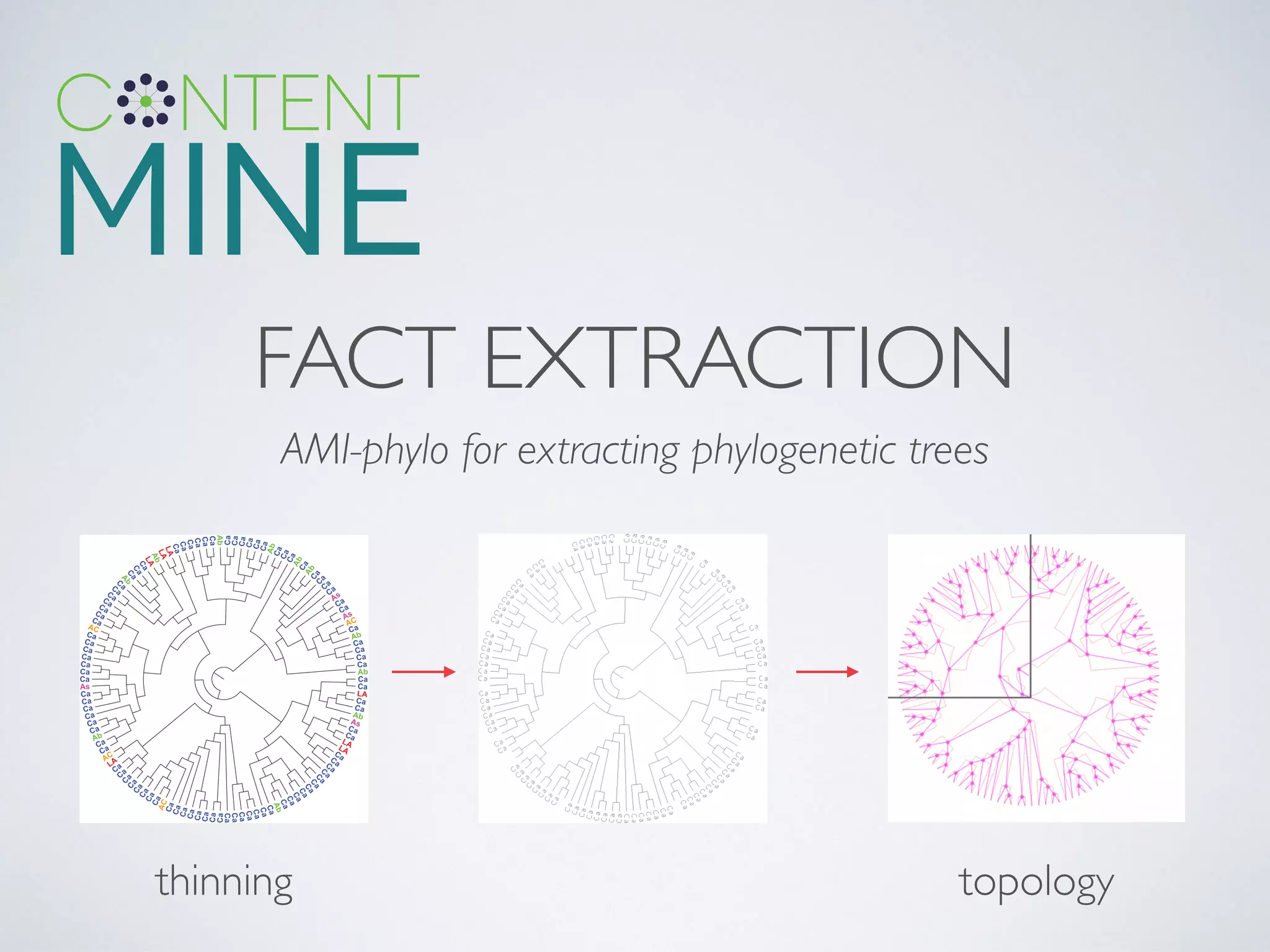 FACT EXTRACTION
thinning topology
AMI-phylo for extracting phylogenetic trees
 