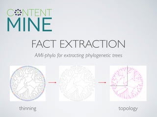 FACT EXTRACTION
thinning topology
AMI-phylo for extracting phylogenetic trees
 