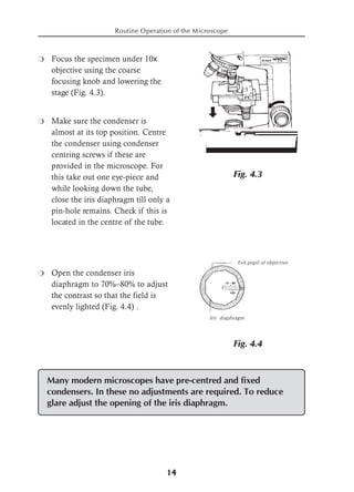 Microscope Focusing Principles.pdf WHO - The microscope - A practical guide.pdf