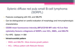 Splenic diffuse red pulp small B-cell lymphoma
(SDRPL)
• Features overlapping with HCL and SBLPN
• Can be distinguished on careful evaluation of morphology and immunophenotypic
characteristics
• CD200 mean fuorescence intensity (MFI)/CD180 MFI ratio <0.5 on flow
cytometry favours a diagnosis of SDRPL over HCL, SMZL, and SBLPN
• For HPE : Spleen >> BM
• Intrasinusoidal pattern
▫ SMZL and SBLPN - More diverse growth pattern
▫ HCL - Diffuse pattern with Reticulin fibrosis
 