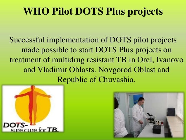 World health organisation essay