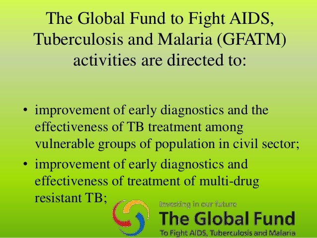 World health organisation essay