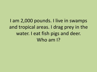 I am 2,000 pounds. I live in swamps
and tropical areas. I drag prey in the
water. I eat fish pigs and deer.
Who am I?

 