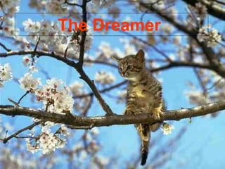 The Dreamer
 