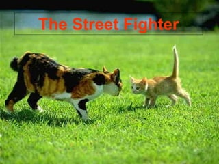 The Street Fighter
 