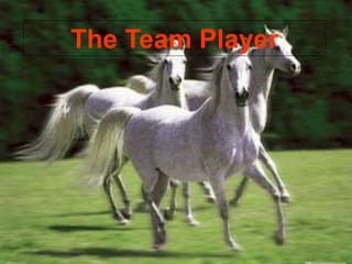 The Team Player
 