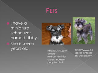  I have a
miniature
schnauzer
named Libby.
 She is seven
years old. http://www.do
gbreedinfo.co
m/snorkie.htm
http://www.schn
auzers-
rule.com/miniat
ure-schnauzer-
puppies.html
 