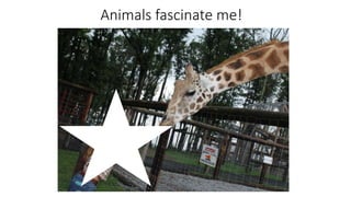 Animals fascinate me!