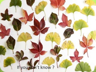 If you don’t know ?
 