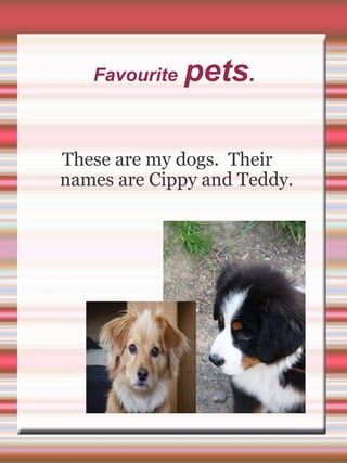 Favourite   pets .  These are my dogs.  Their names are Cippy and Teddy. 