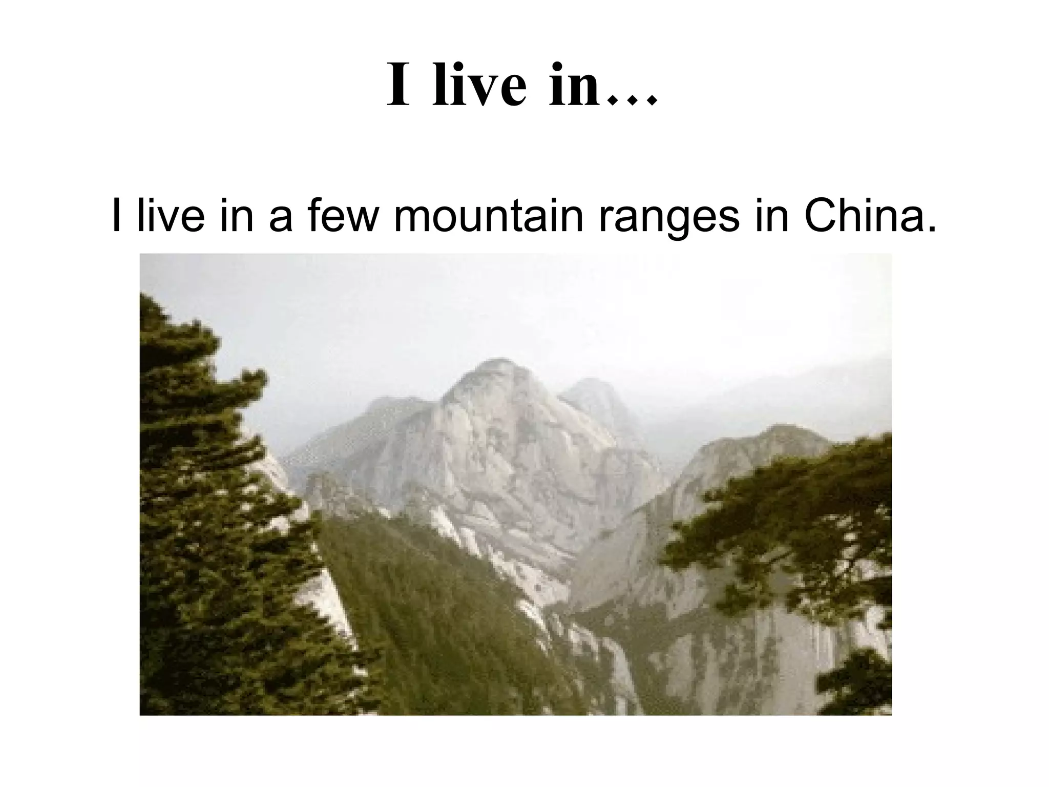 Who am I Template PPT