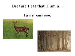 Because I eat that, I am a… I am an omnivore. 