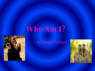 Who Am I?   By, Ashley Pitchford 
